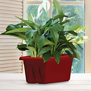 Supreme Window Planters
