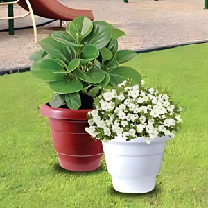 Eco Pots Fresh